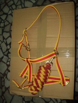 Horse  Halter set Nh-14