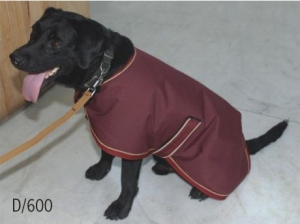 Dog Rug Dr-003