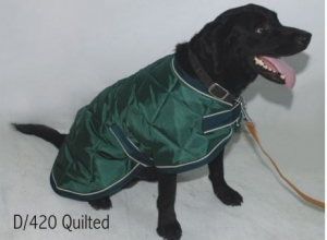 Green Dog Rug Dr-002