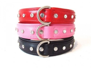 dog collars dc-005
